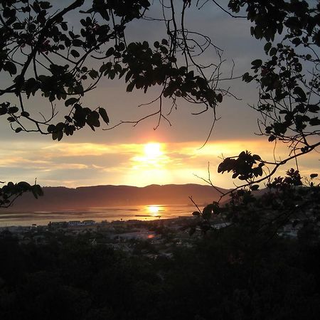 Mount Joy Cottages Knysna Eksteriør bilde