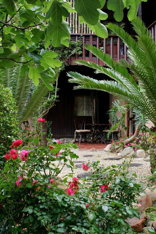 Mount Joy Cottages Knysna Rom bilde
