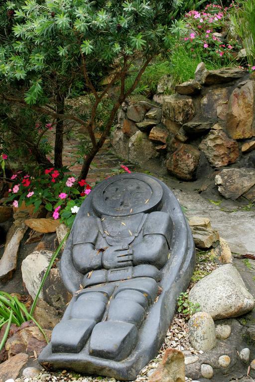 Mount Joy Cottages Knysna Rom bilde