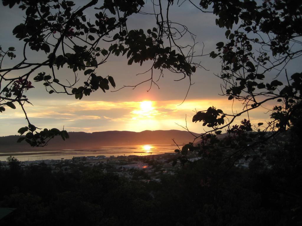 Mount Joy Cottages Knysna Eksteriør bilde
